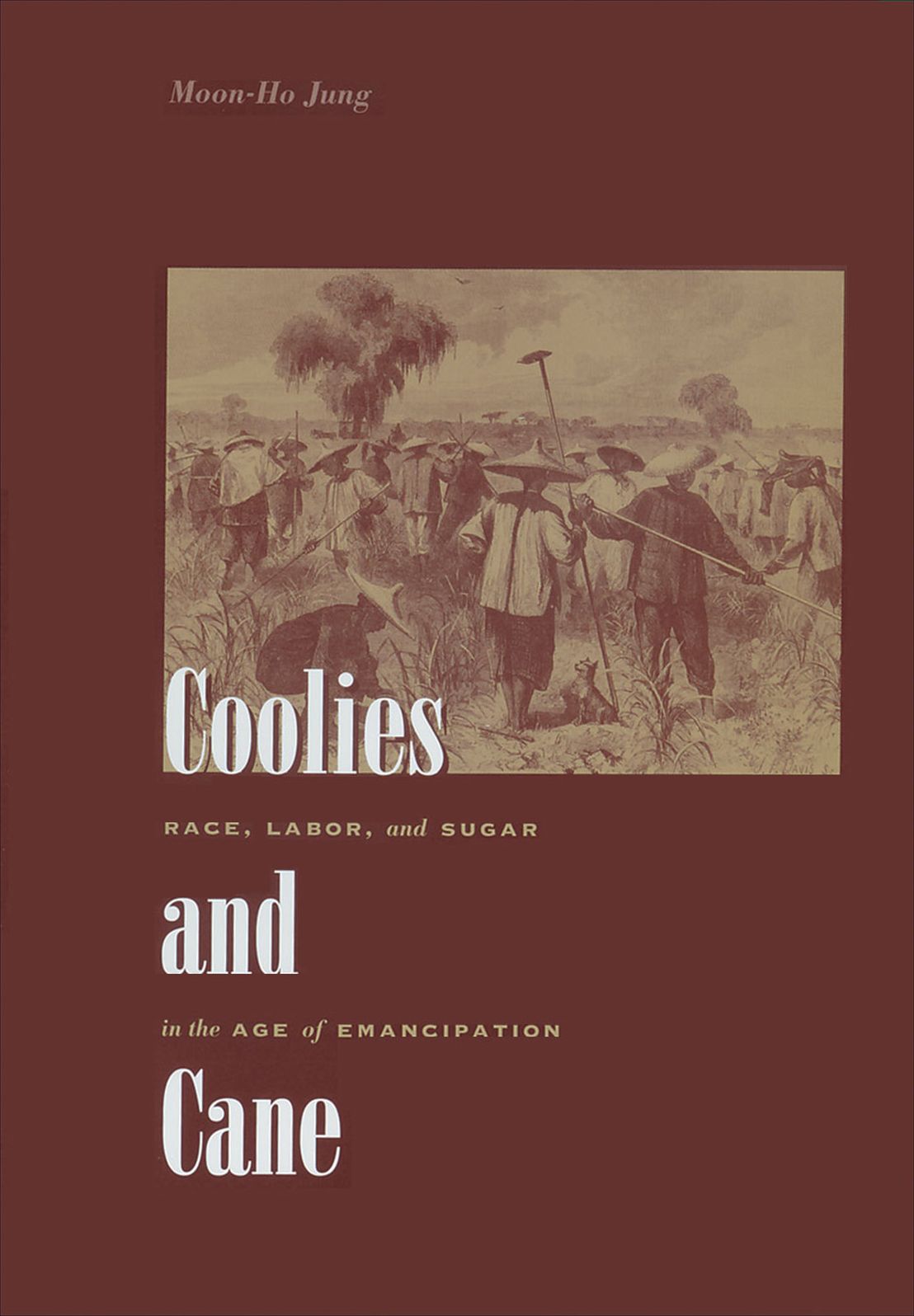 Coolies and Cane: Race, Labor, and Sugar in the Age of Emancipation