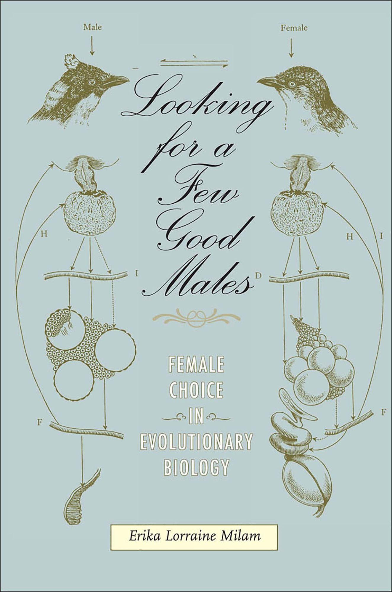 Looking for a Few Good Males: Female Choice in Evolutionary Biology