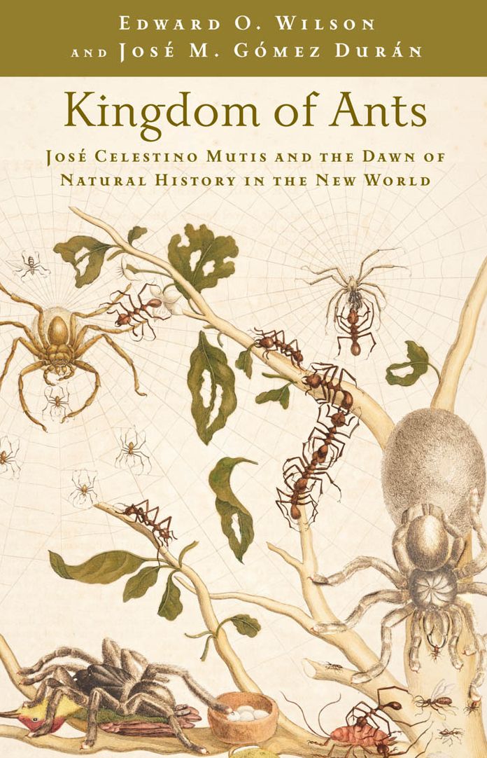 Kingdom of Ants: Jose Celestino Mutis and the Dawn of Natural History in the New World