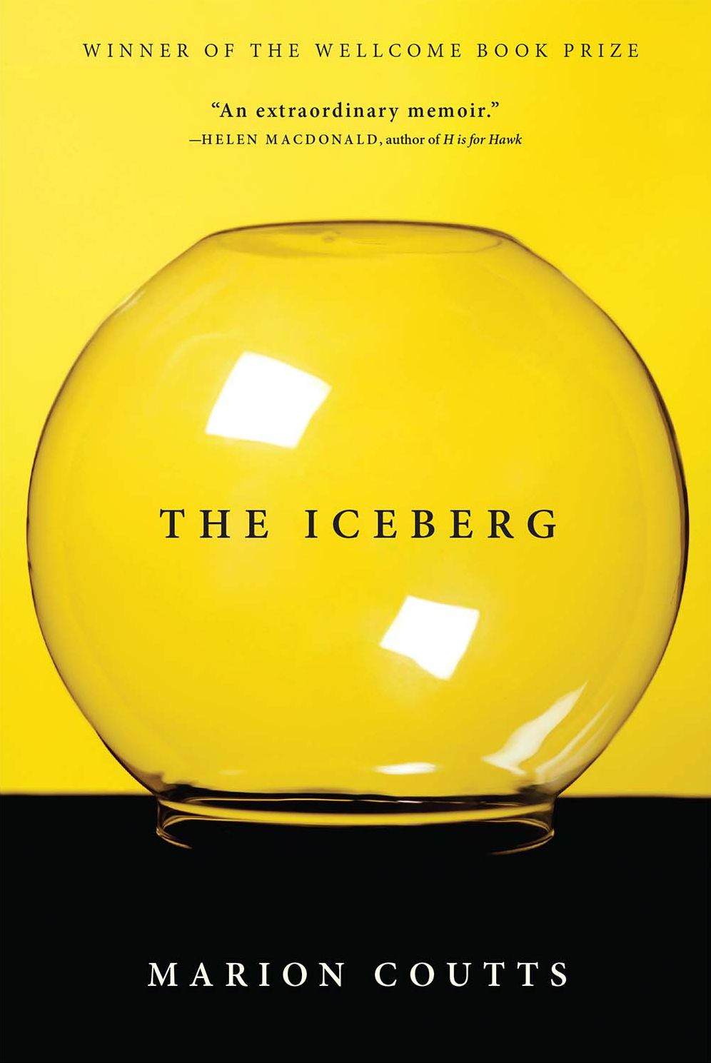 The Iceberg: A Memoir