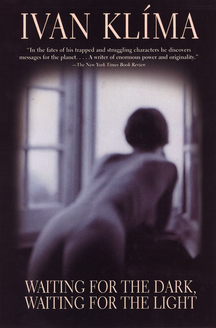 Waiting for the Dark, Waiting for the Light: A Novel