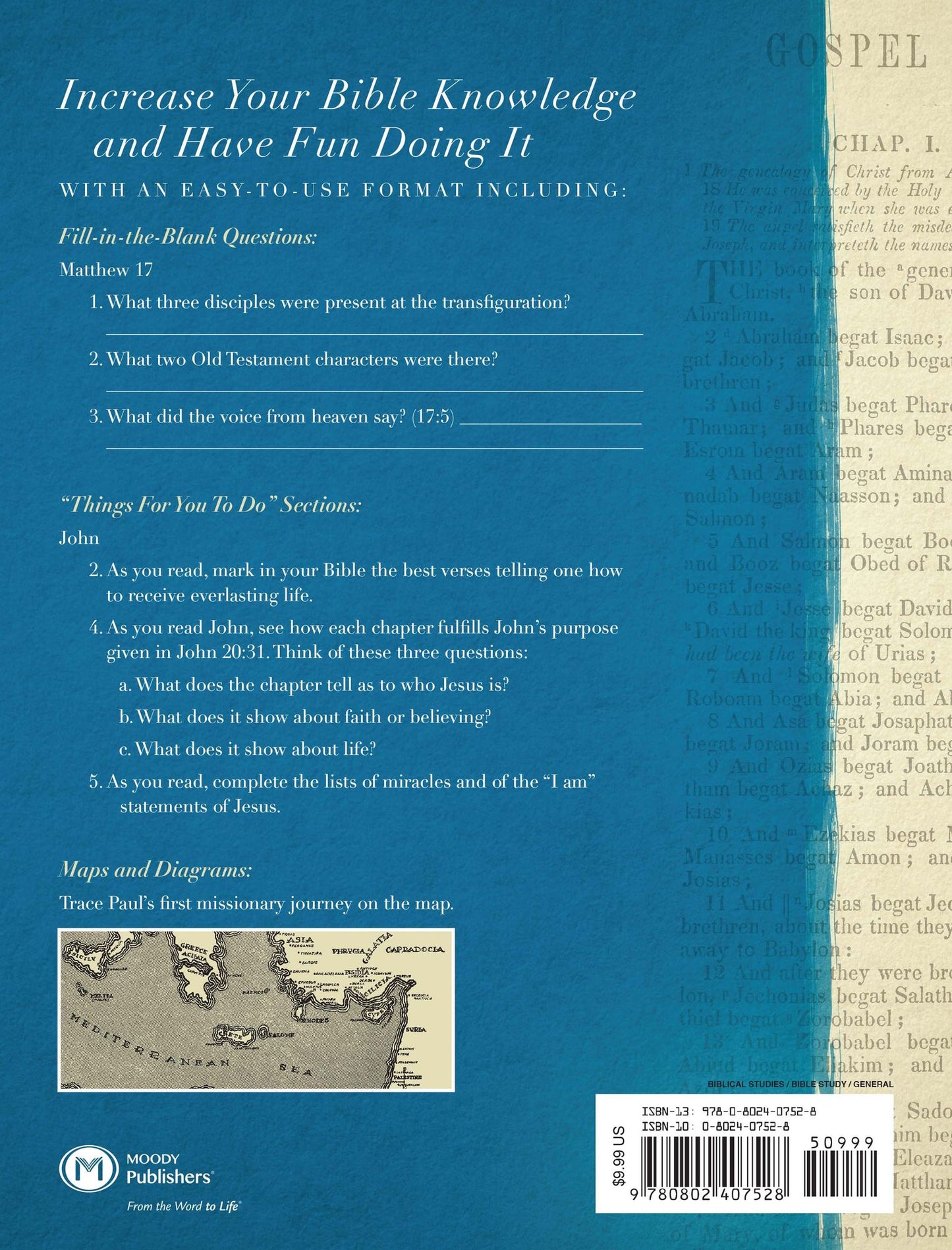 Bible Workbook Vol. 2-New Testament