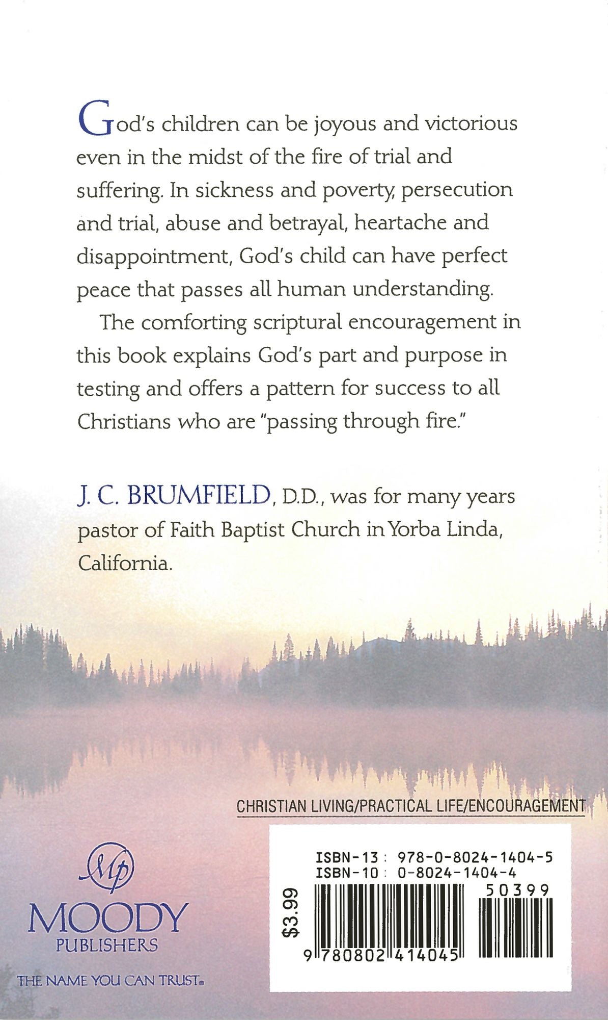 Comfort for Troubled Christians