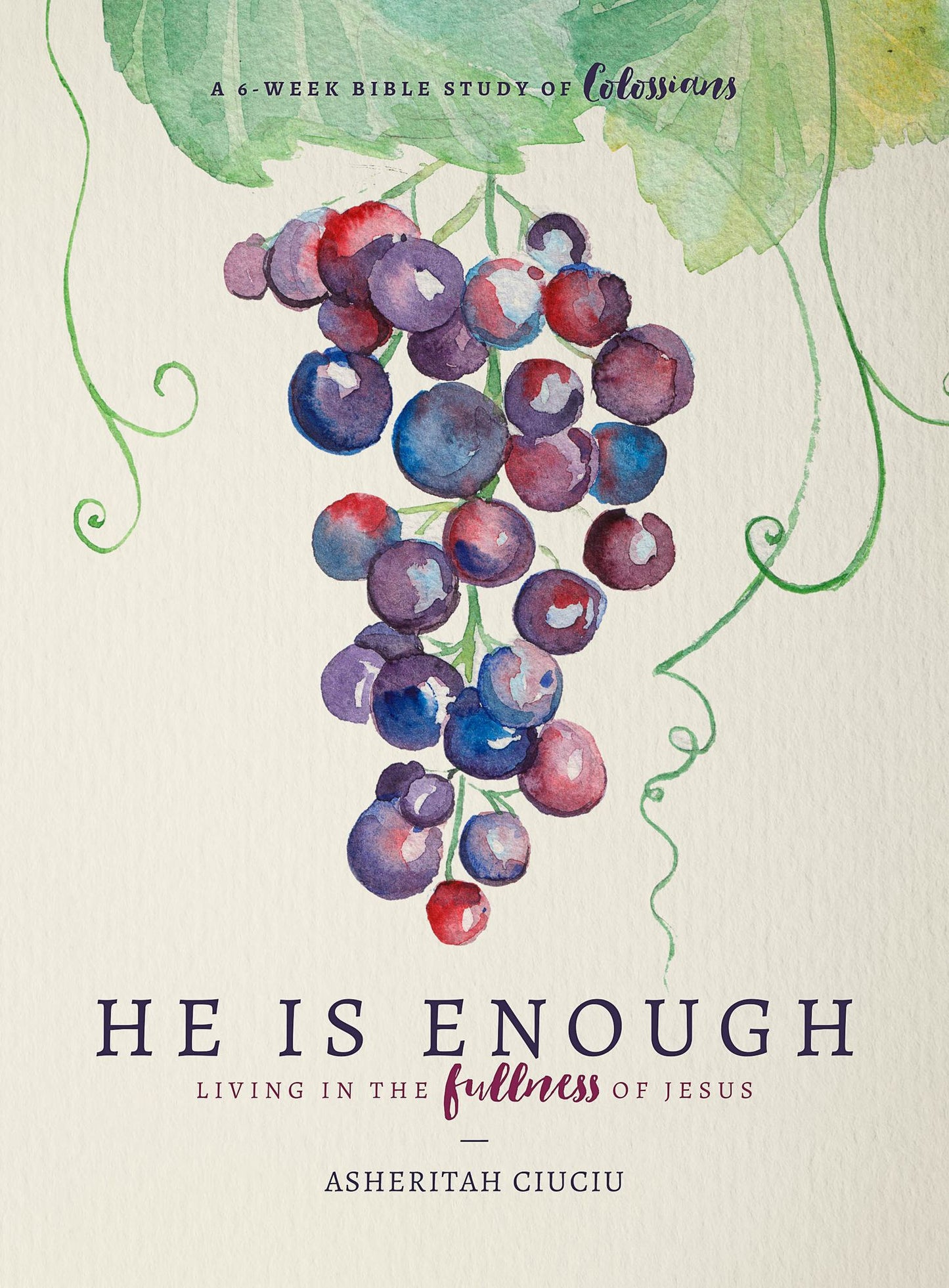 HE is Enough: Living in the Fullness of Jesus (A Study in Colossians)