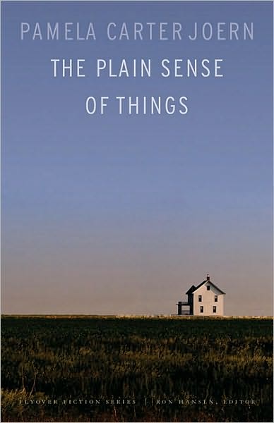 Plain Sense of Things