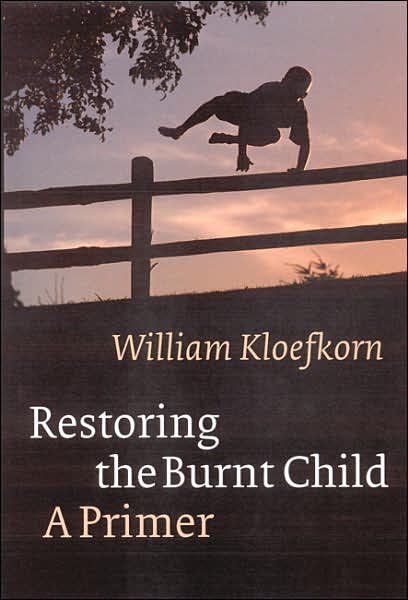 Restoring the Burnt Child: A Primer