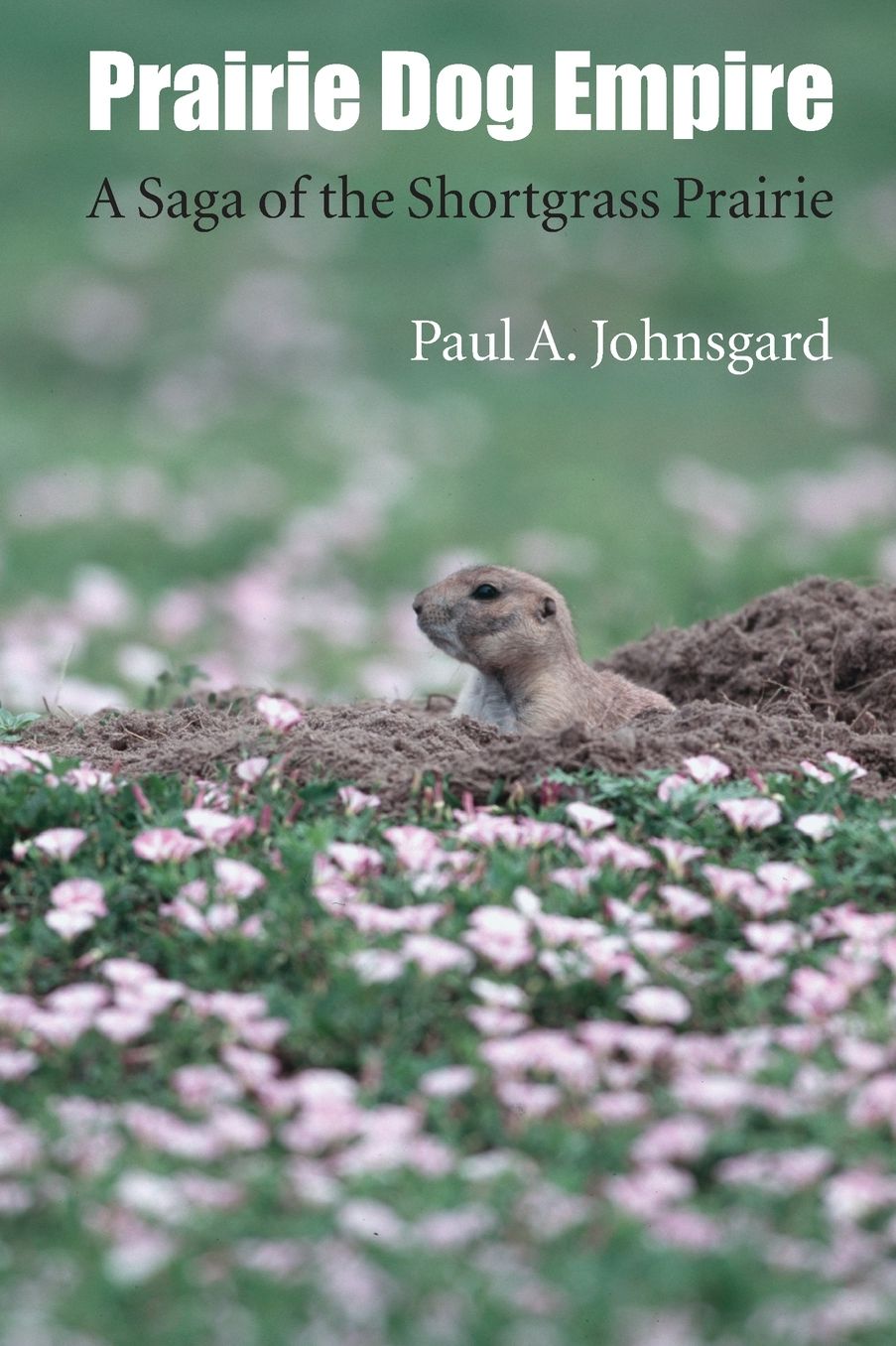 Prairie Dog Empire: A Saga of the Shortgrass Prairie