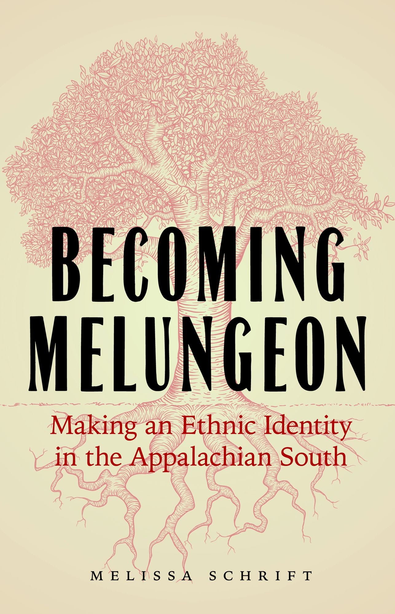 Becoming Melungeon: Making an Ethnic Identity in the Appalachian South