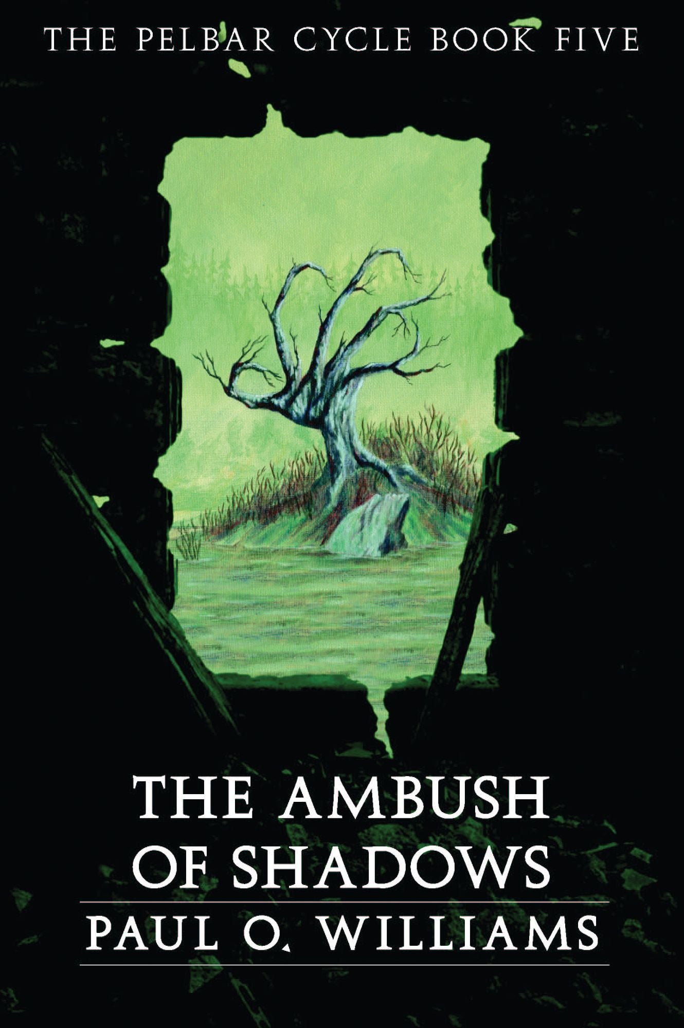 An Ambush of Shadows: The Pelbar Cycle, Book Five