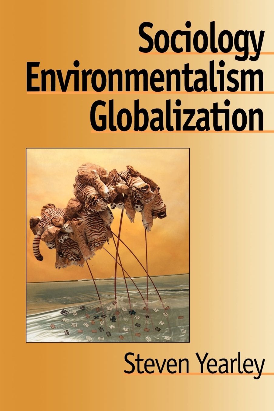 Sociology Environmentalism Globalization