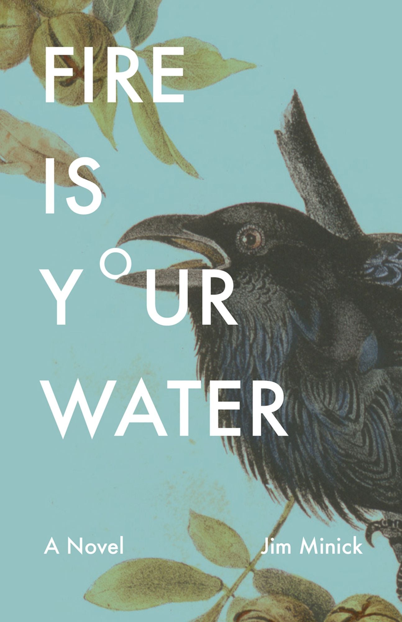 Fire Is Your Water: A Novel