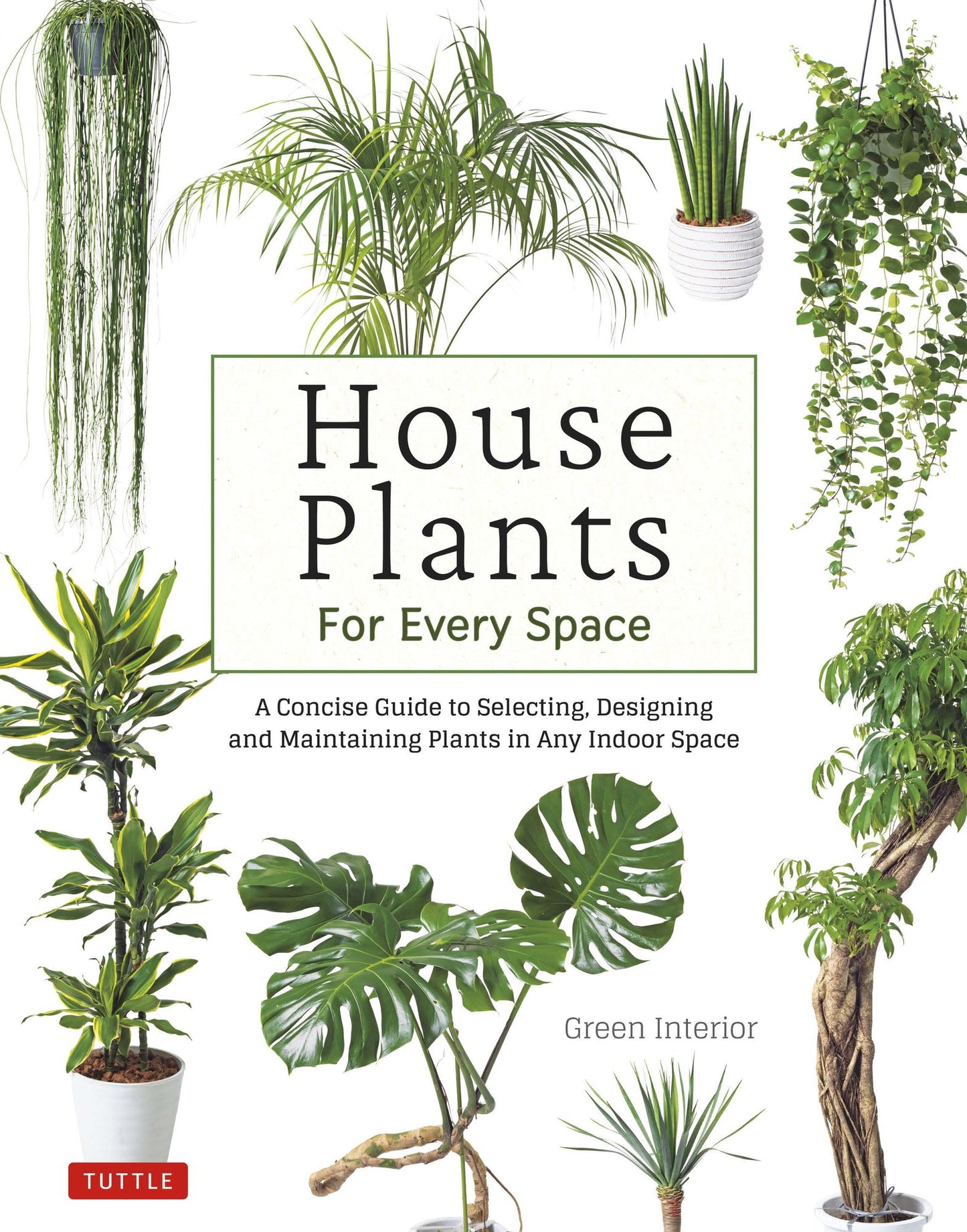 House Plants for Every Space: A Concise Guide to Selecting, Designing and Maintaining Plants in Any Indoor Space