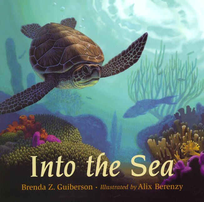 Into the Sea