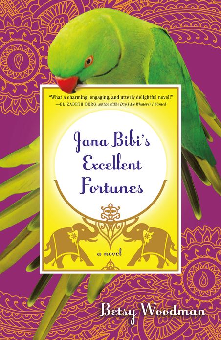 Jana Bibi's Excellent Fortunes: A Novel