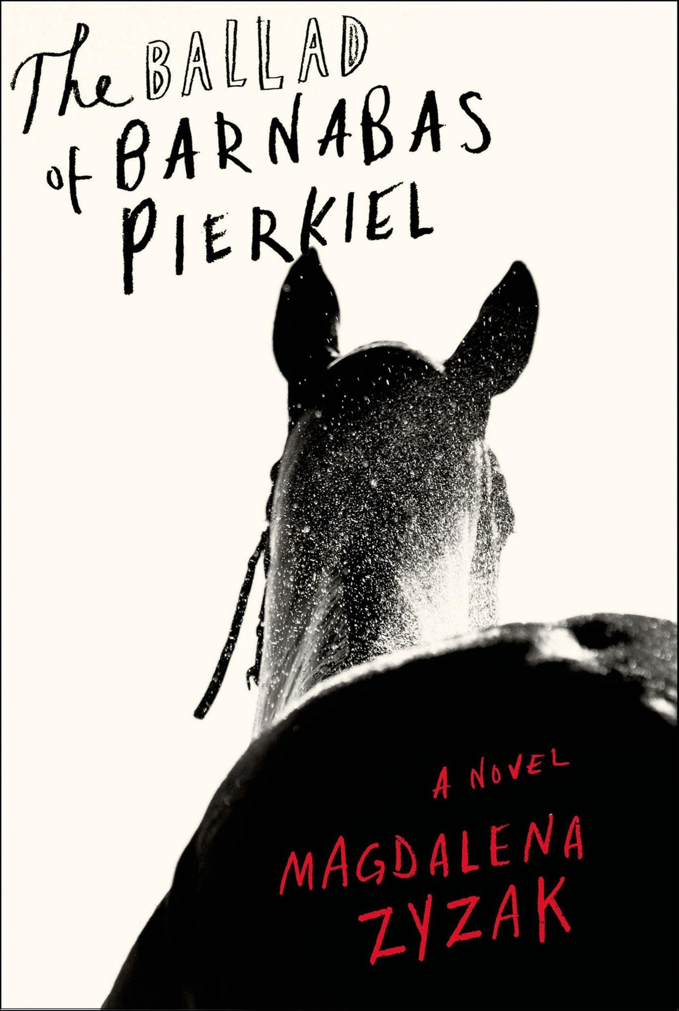 The Ballad of Barnabas Pierkiel: A Novel