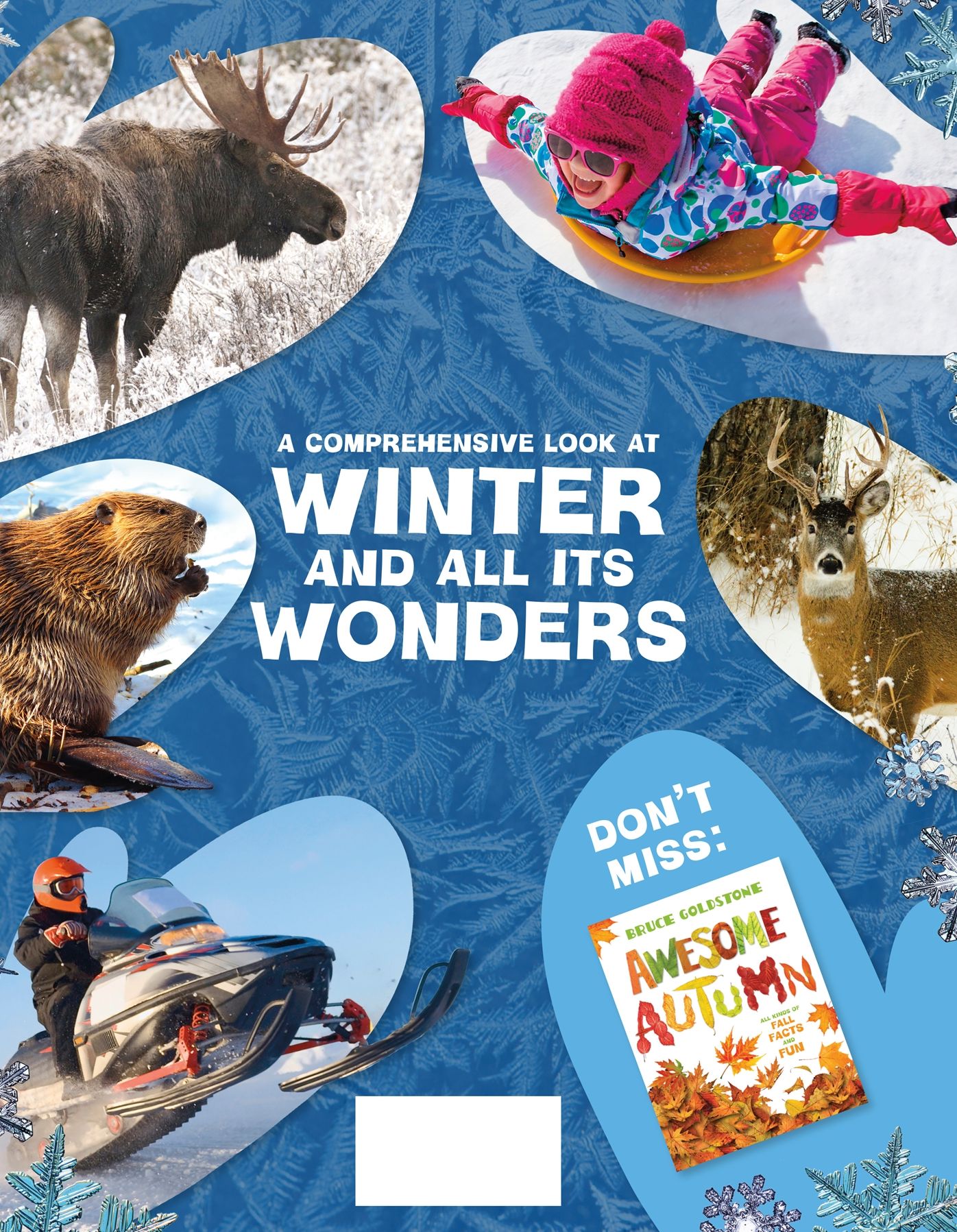 Wonderful Winter: All Kinds of Winter Facts and Fun