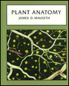 Plant Anatomy