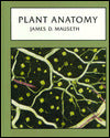 Plant Anatomy