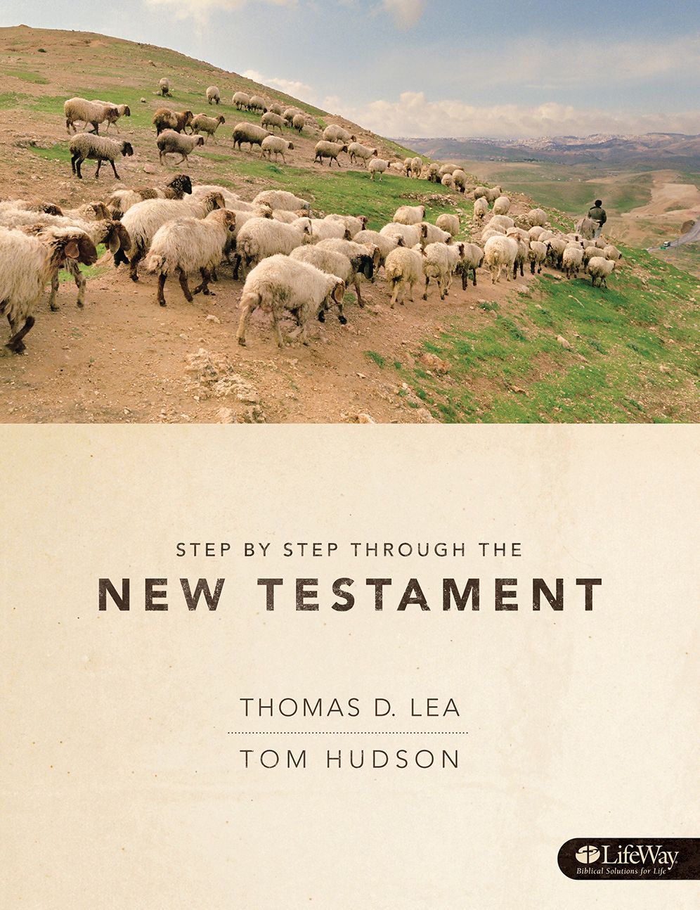 Step by Step through the New Testament