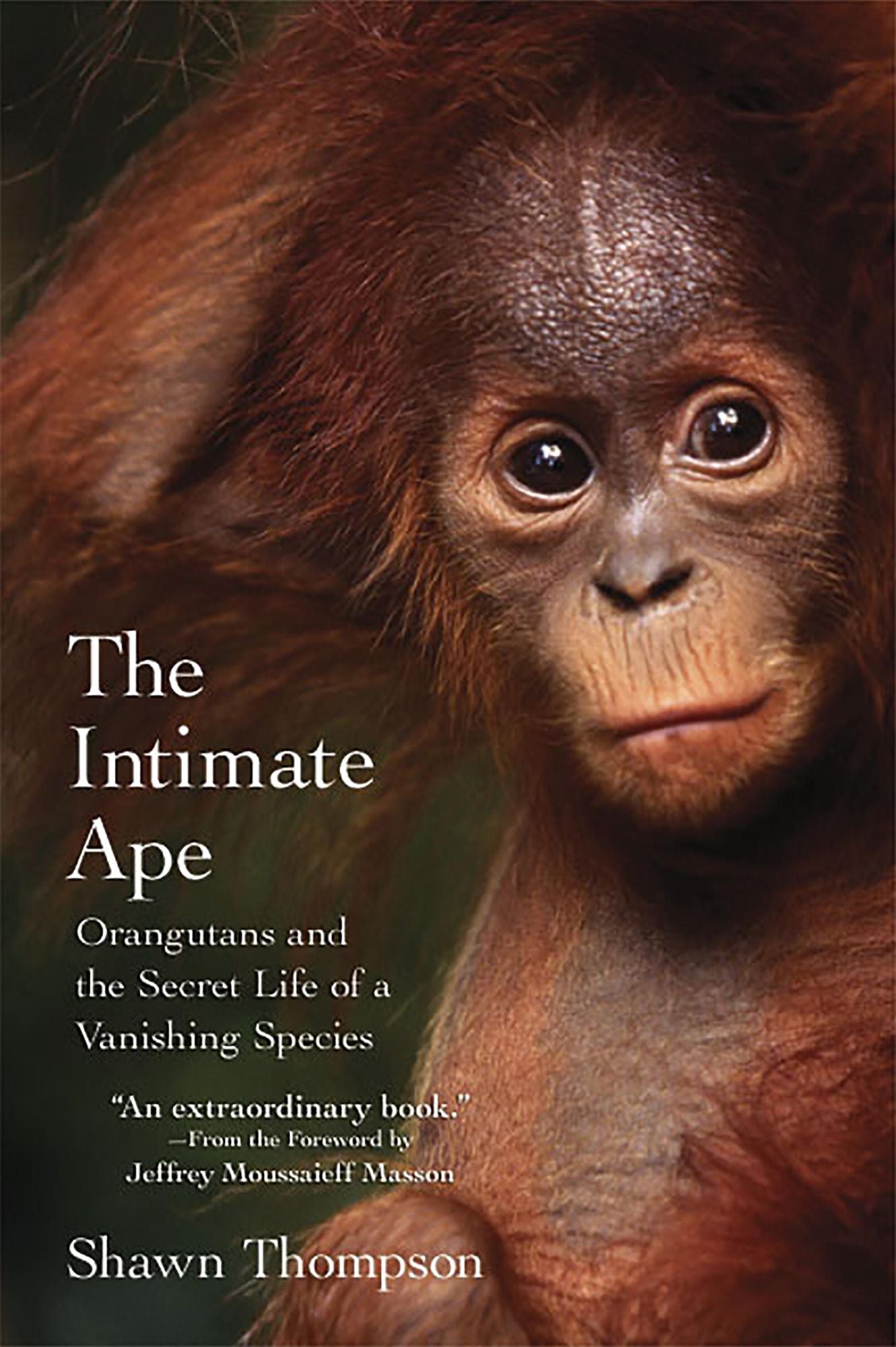 The Intimate Ape: Orangutans and the Secret Life of a Vanishing Species