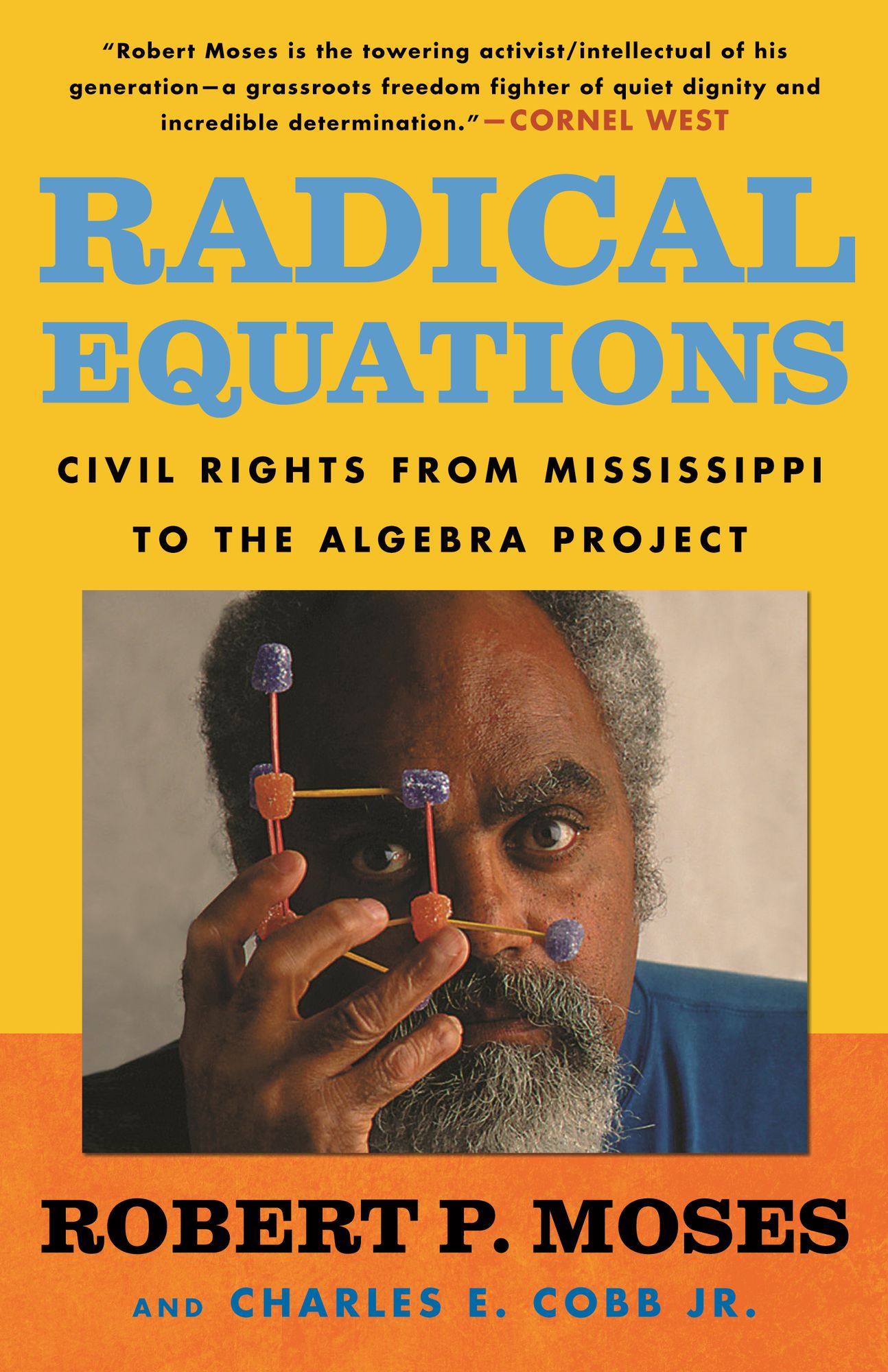 Radical Equations Math Literacy and Civil Rights