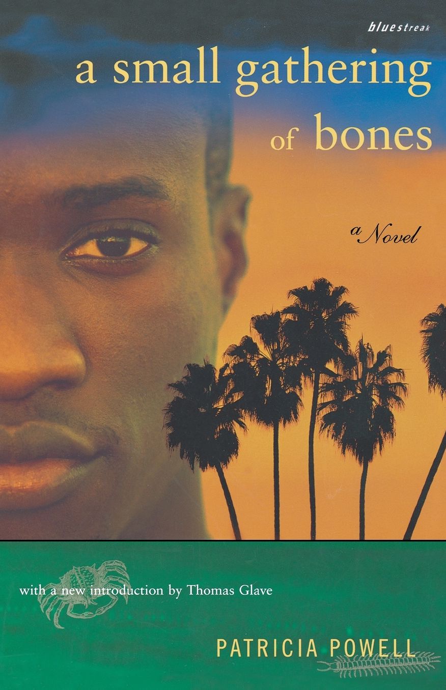 A Small Gathering Of Bones