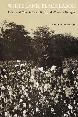 White Land, Black Labor