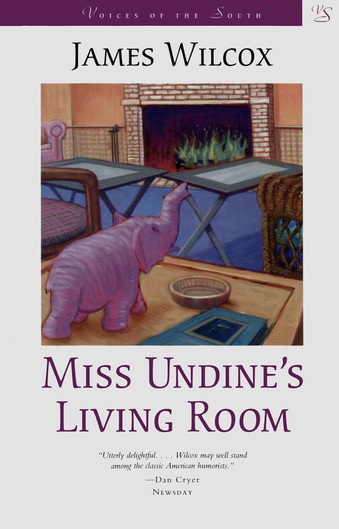 Miss Undine's Living Room: A Novel