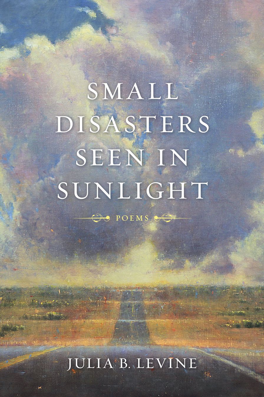 Small Disasters Seen in Sunlight: Poems