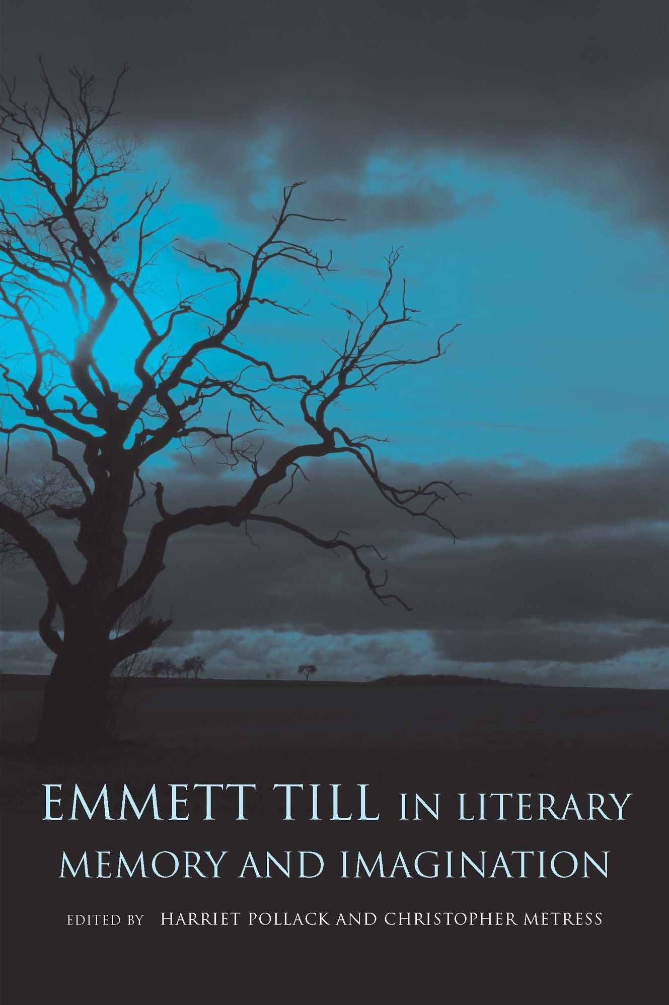 Emmett Till in Literary Memory and Imagination