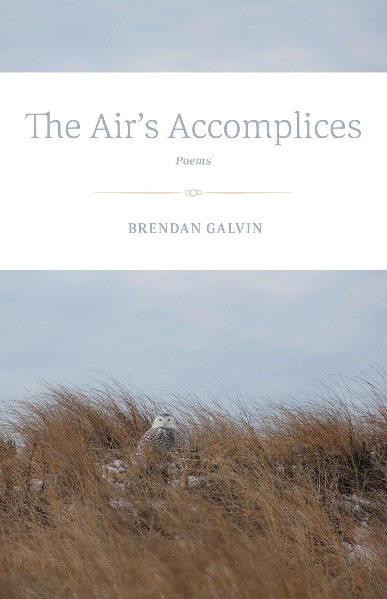 The Air's Accomplices: Poems