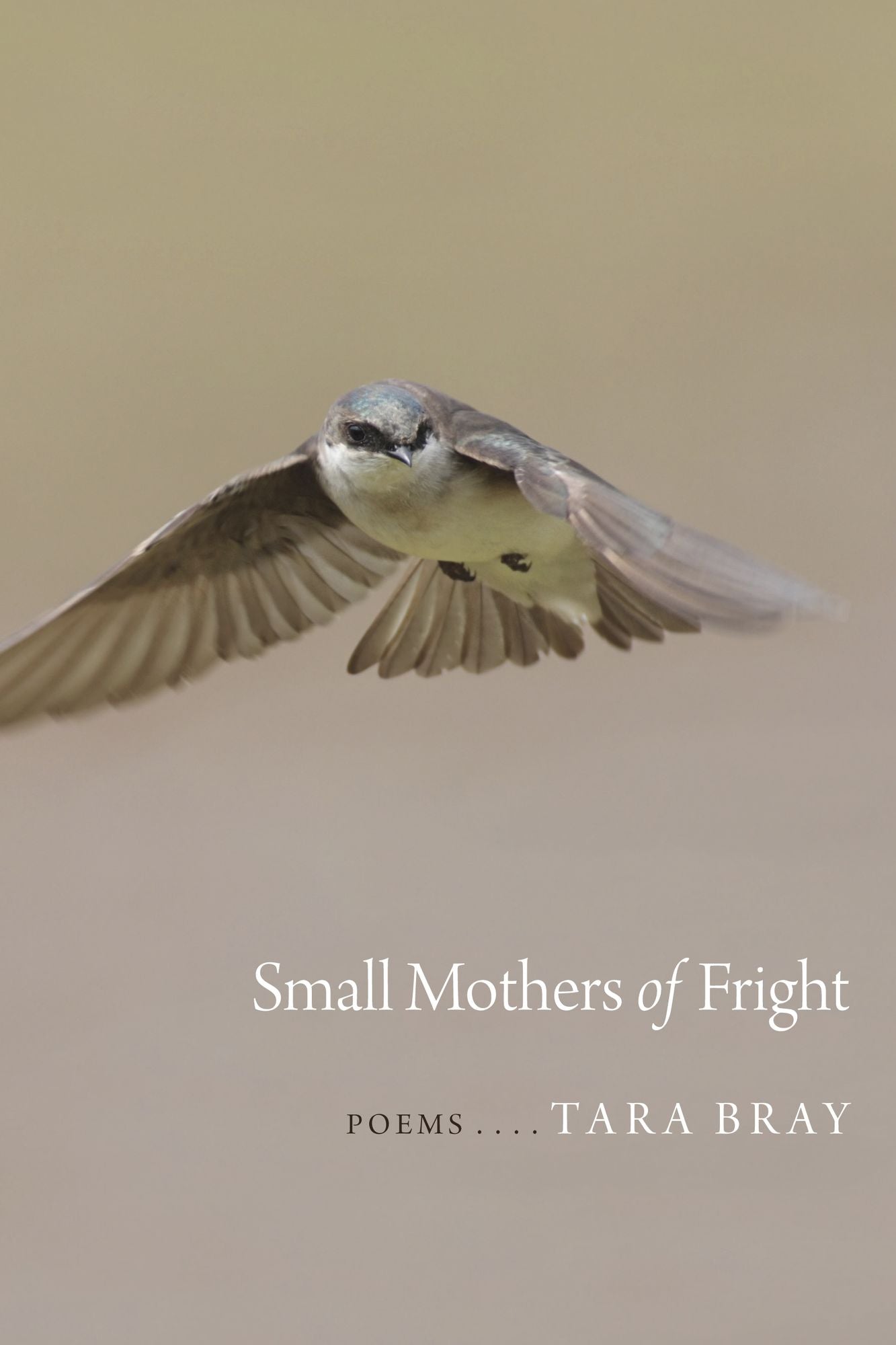 Small Mothers of Fright: Poems