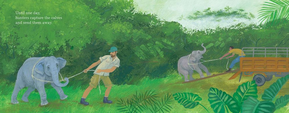 Elephants Walk Together