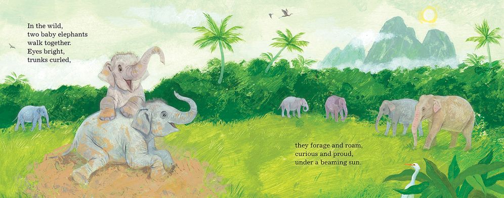 Elephants Walk Together