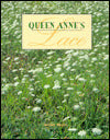 Queen Anne's Lace