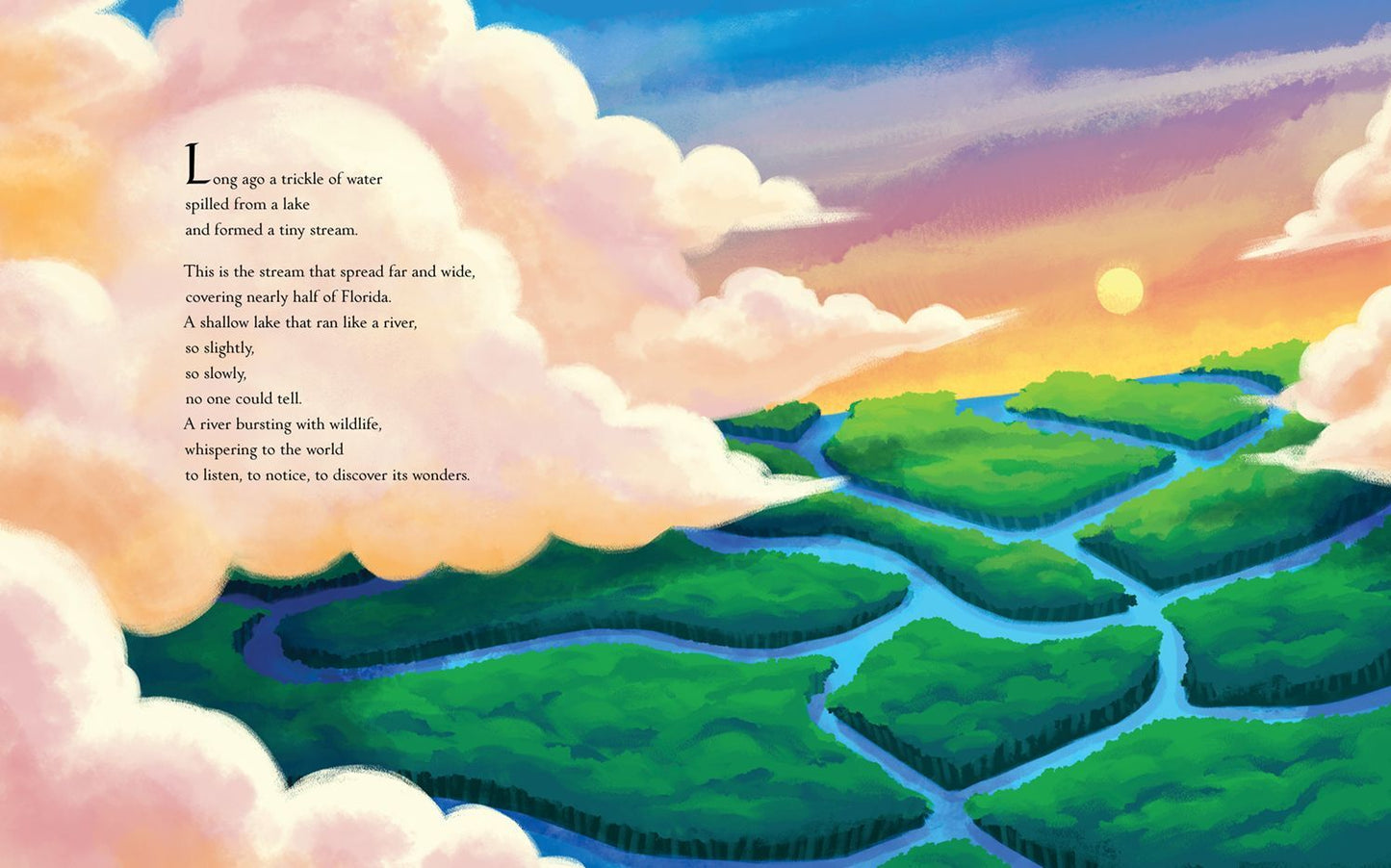 VOICE FOR THE EVERGLADES