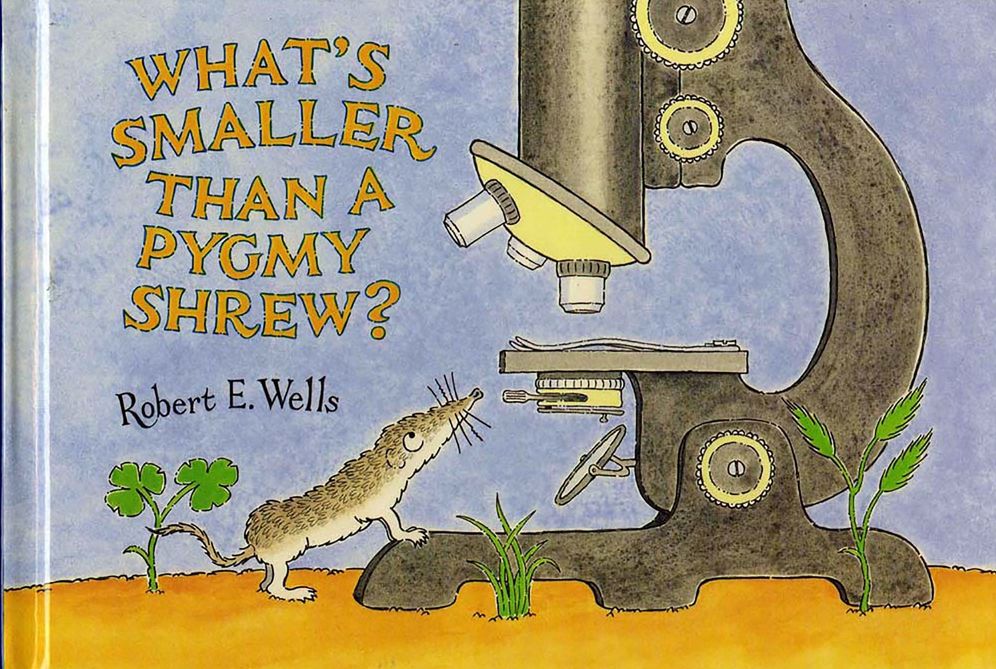 What's Smaller Than a Pygmy Shrew?