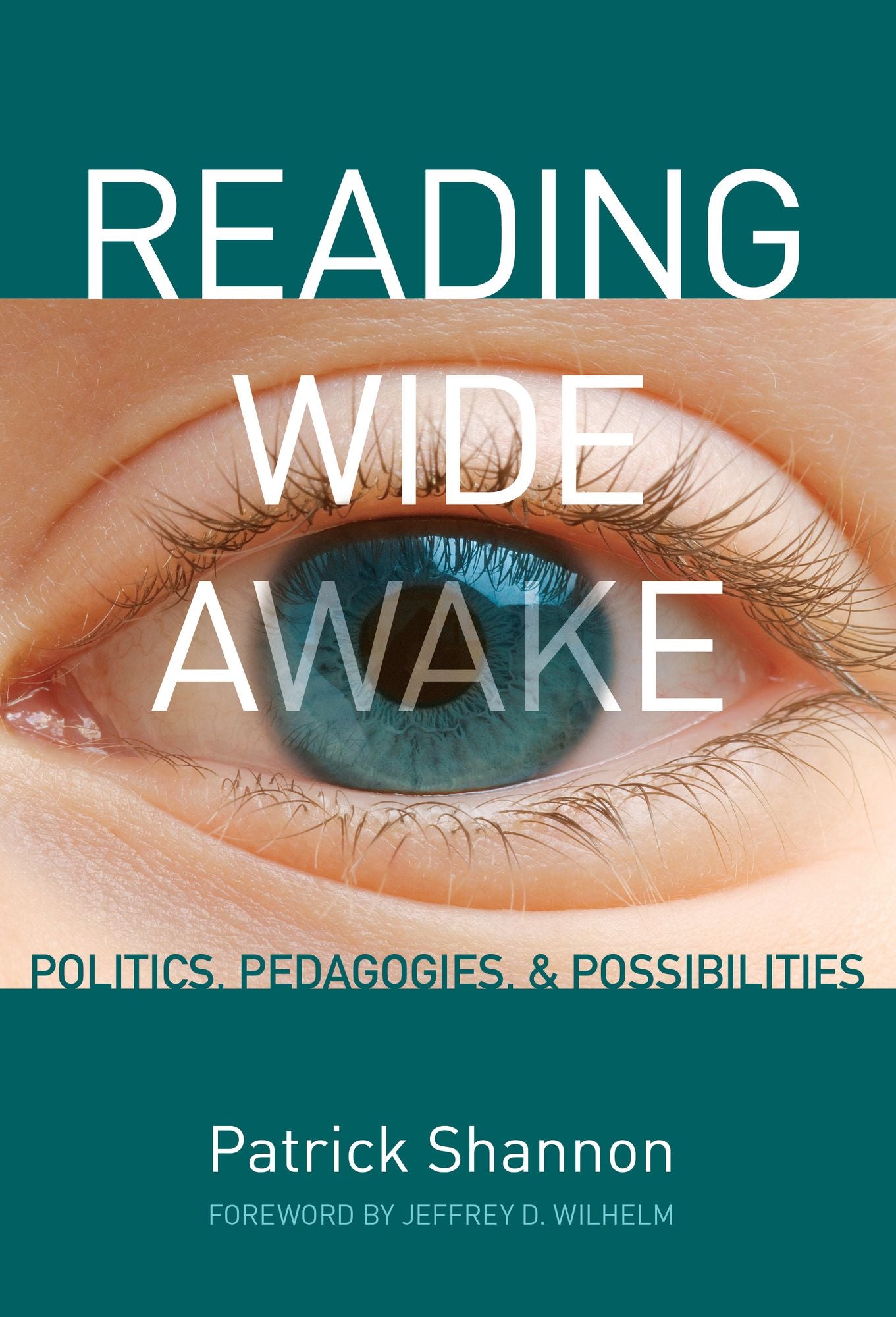Reading Wide Awake: Politics, Pedagogies, and Possibilities