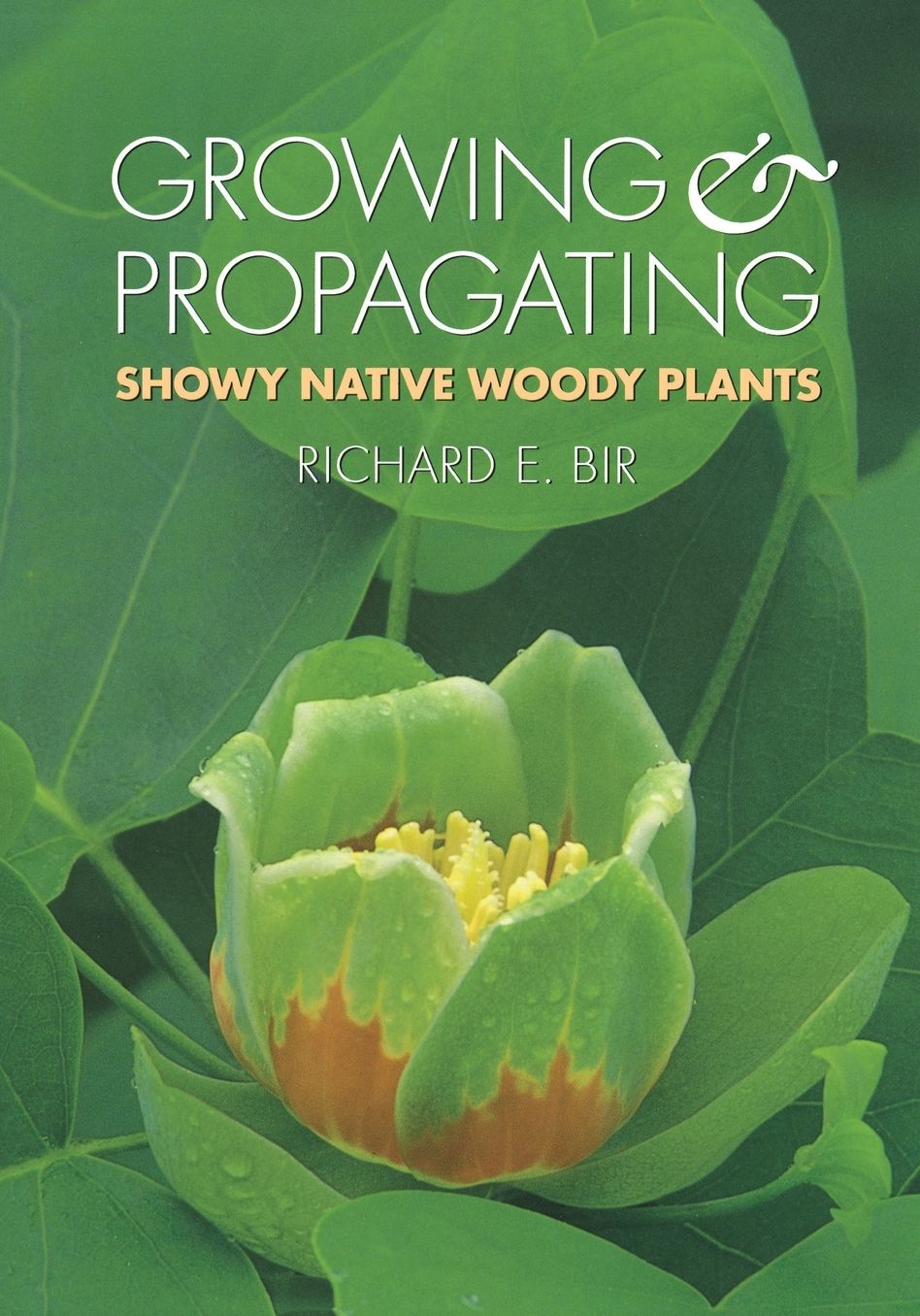 Growing and Propagating Showy Native Woody Plants
