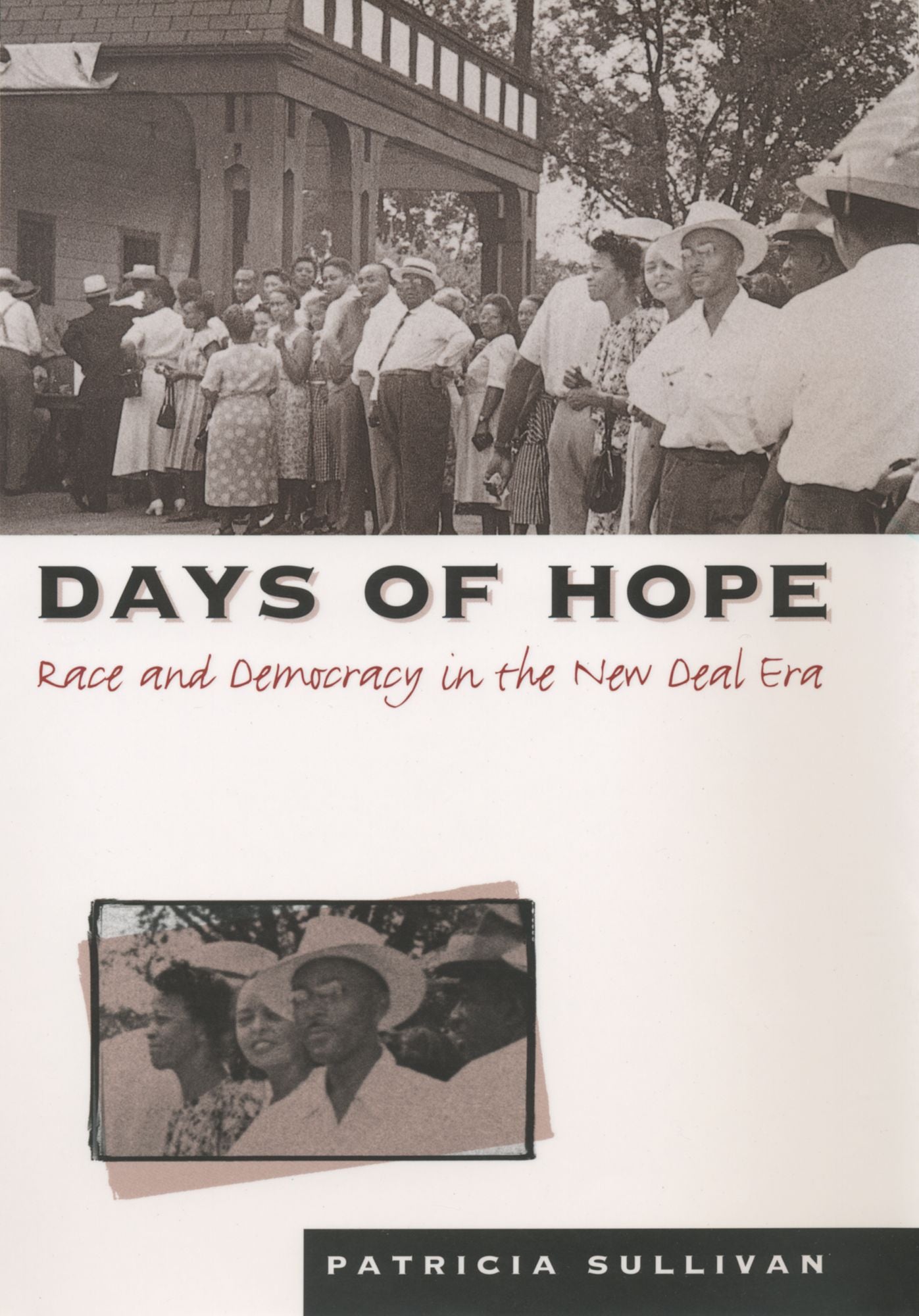 Days of Hope: Race and Democracy in the New Deal Era