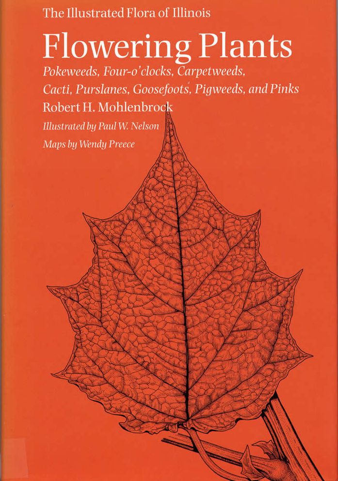 Flowering Plants: Pokeweeds, Four-O'Clocks, Carpetweeds, Cacti, Portulacas, Goosefoots, Pigweeds and Pinks
