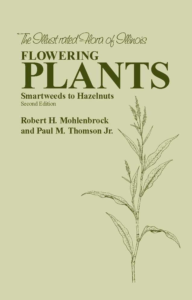 Flowering Plants: Smartweeds to Hazelnuts