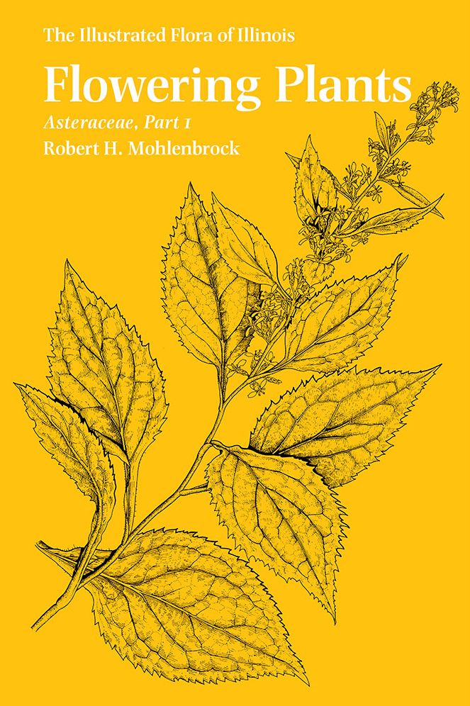 Flowering Plants: Asteraceae, Part 1