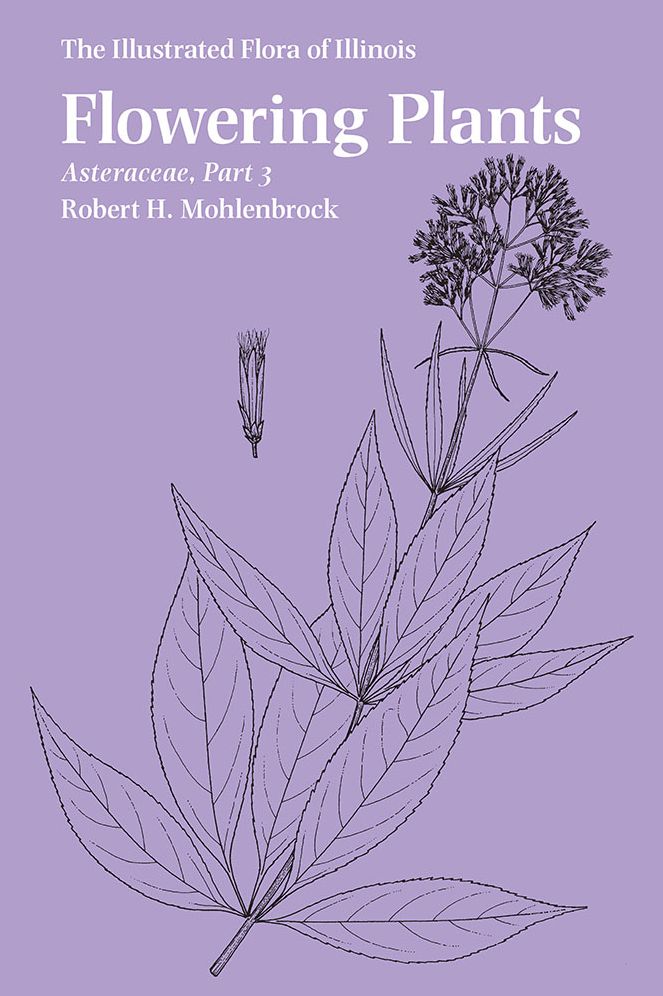 Flowering Plants: Asteraceae, Part 3