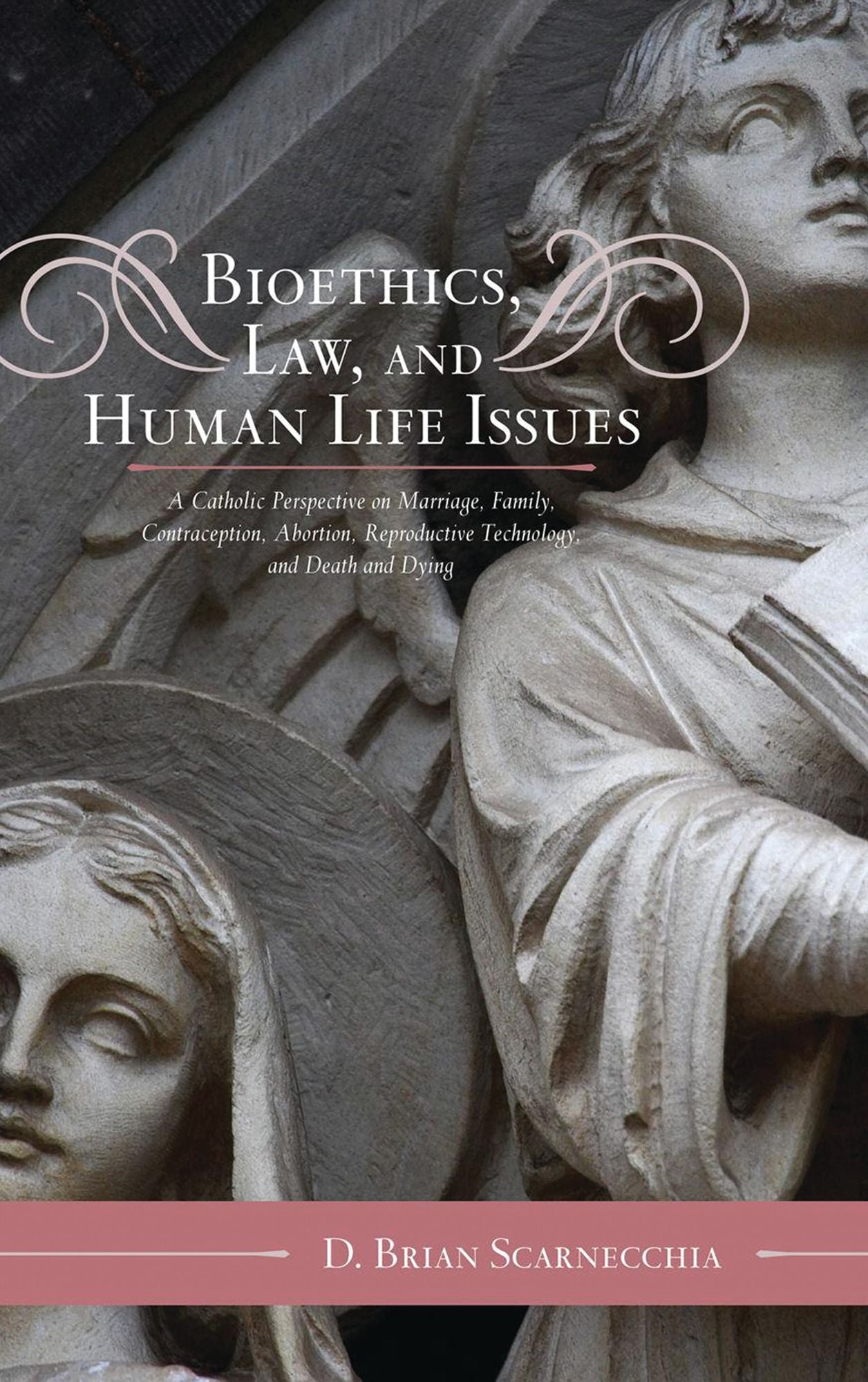 Bioethics, Law, and Human Life Issues: A Catholic Perspective on Marriage, Family, Contraception, Abortion, Reproductive Technology, and Death and Dying