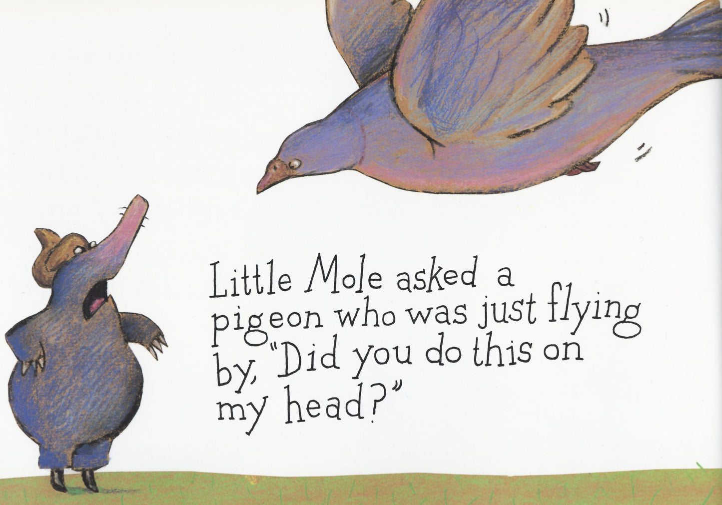 The Story of the Little Mole Who Went in Search of Whodunit