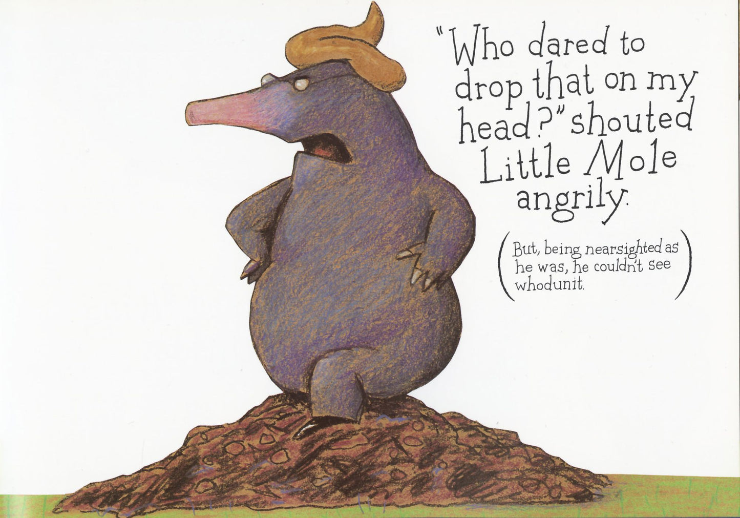 The Story of the Little Mole Who Went in Search of Whodunit