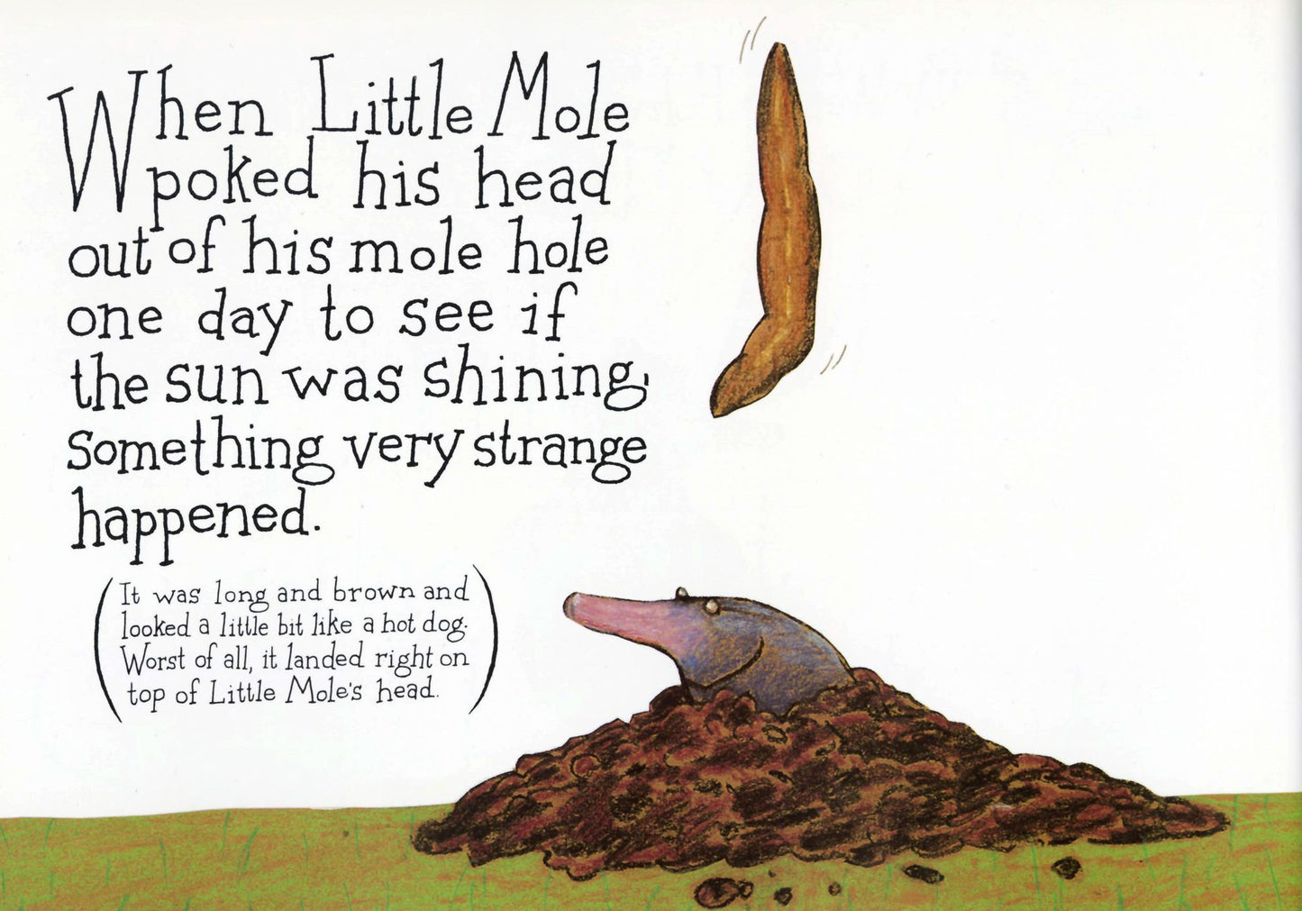 The Story of the Little Mole Who Went in Search of Whodunit