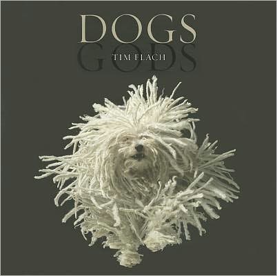 Dogs / Gods