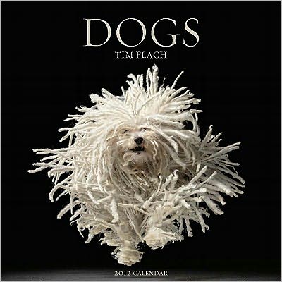 Dogs 2012 Wall Calendar
